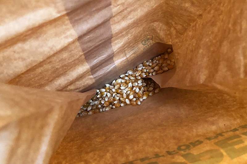 Popcornkärnor i botten av papperspåse för mikropoppning