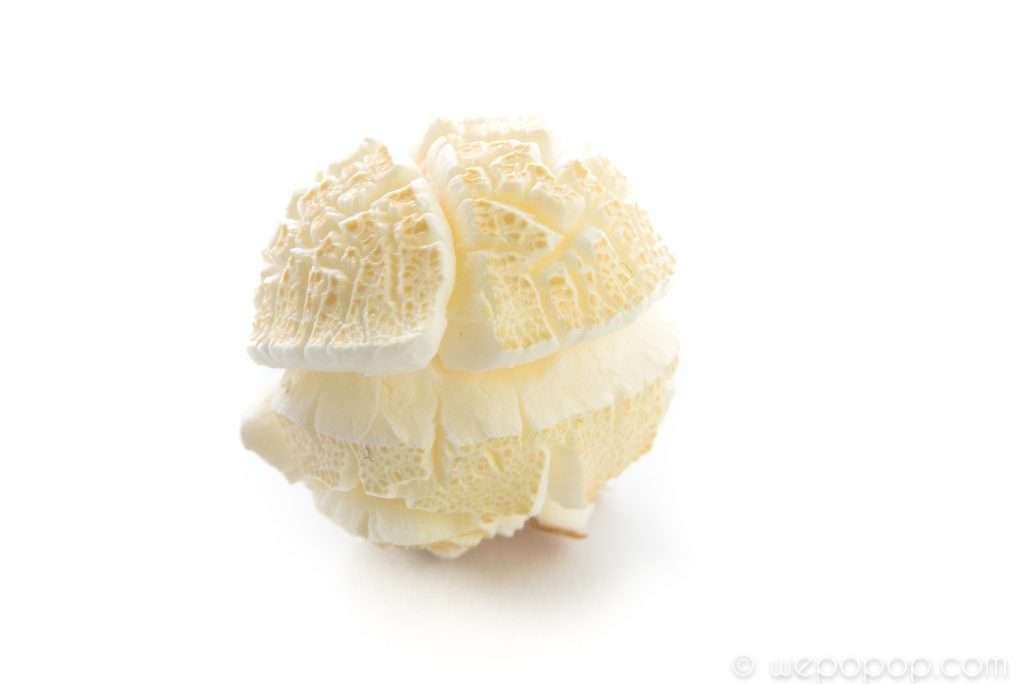 Mushroom popcorn
