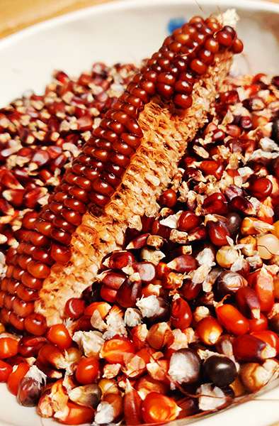 Rödpopcorn kolv på fat