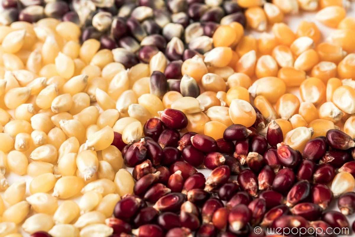 Del 4: Olika popcornsorter
