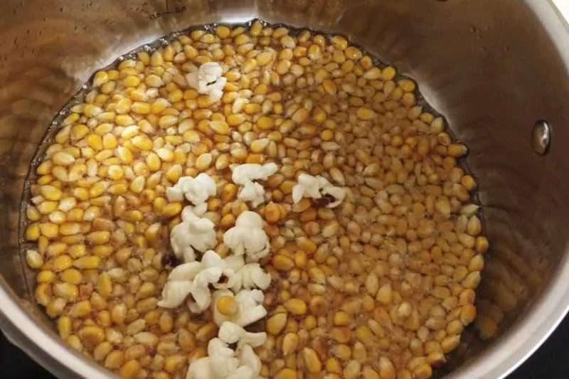 Popcornkärnor i olja där de första kärnorna poppar