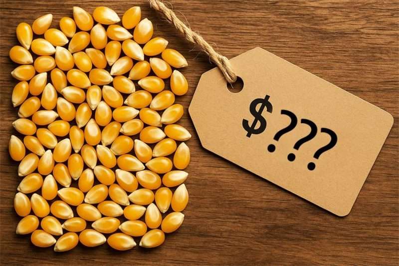 Popcornkärnor bredvid prislapp – vad kostar popcorn?